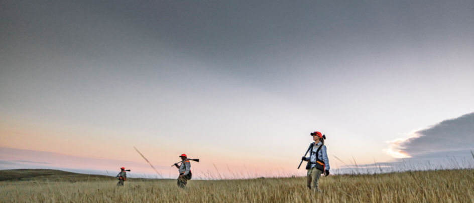 Three hunters in blaze orange ball caps walk through a field at sunrise