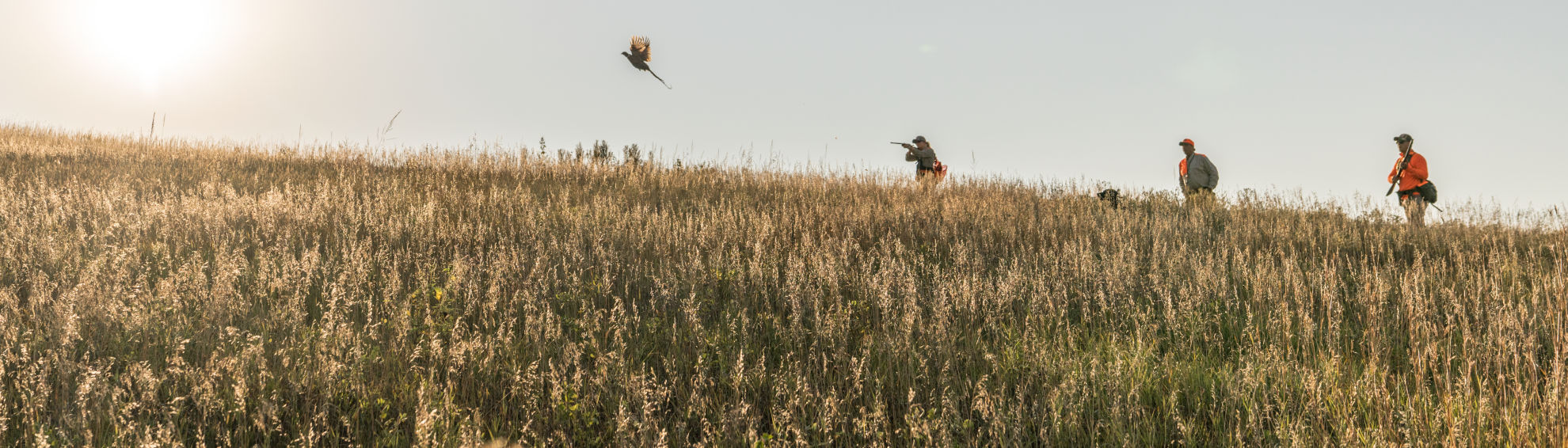 Group of hunters in an open field