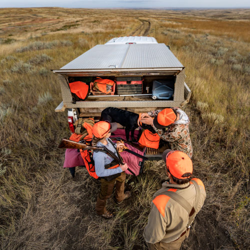 Hunters in blaze orange gather around the back of a truck in a field
