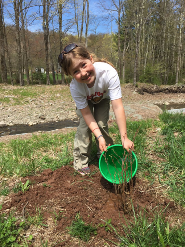 A smiling girl pours water from a bucket onto a fresh planting.