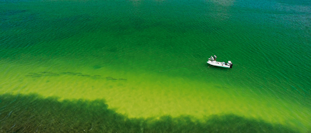 A. drone view of a fishing boat on a green ocean