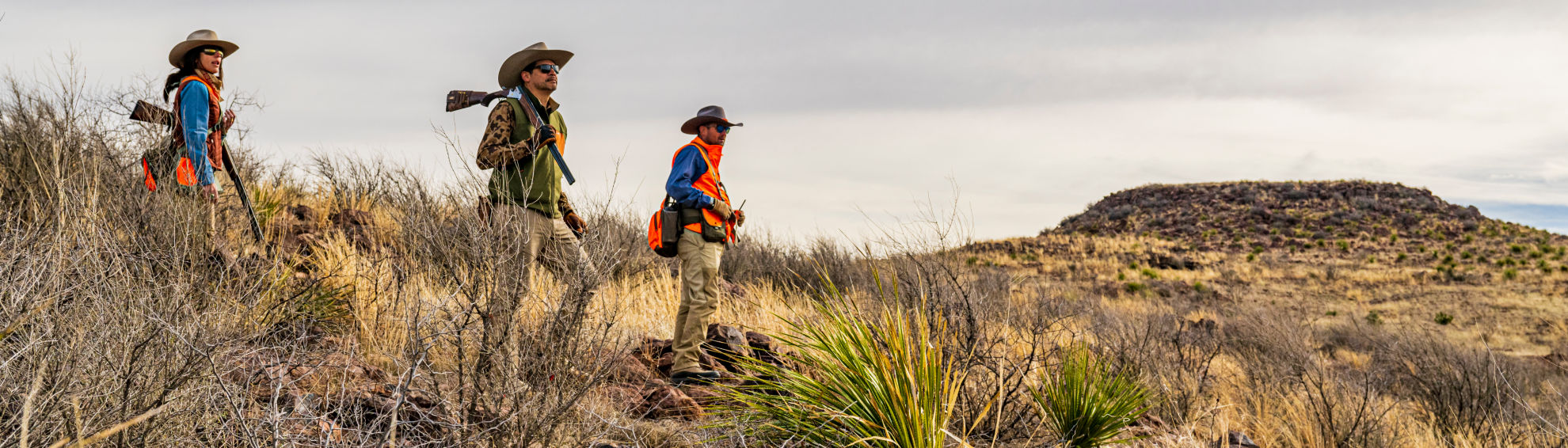 Three wingshooters in blaze orange hunting vests walk through a field of dry grass.
