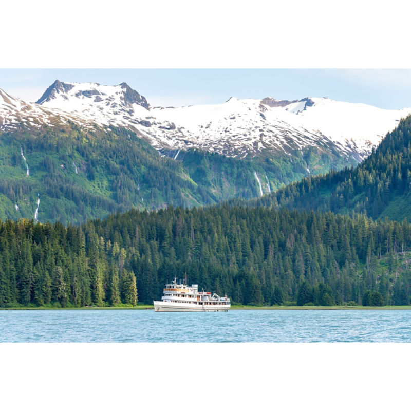 Alaska Adventure Cruise With The Boat Company -  image number 7