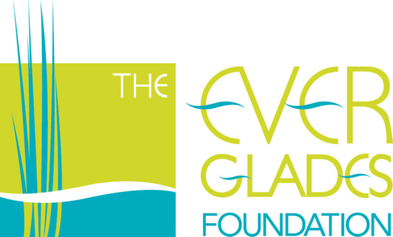 The Everglades Foundation logo