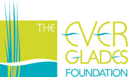 The Everglades Foundation logo
