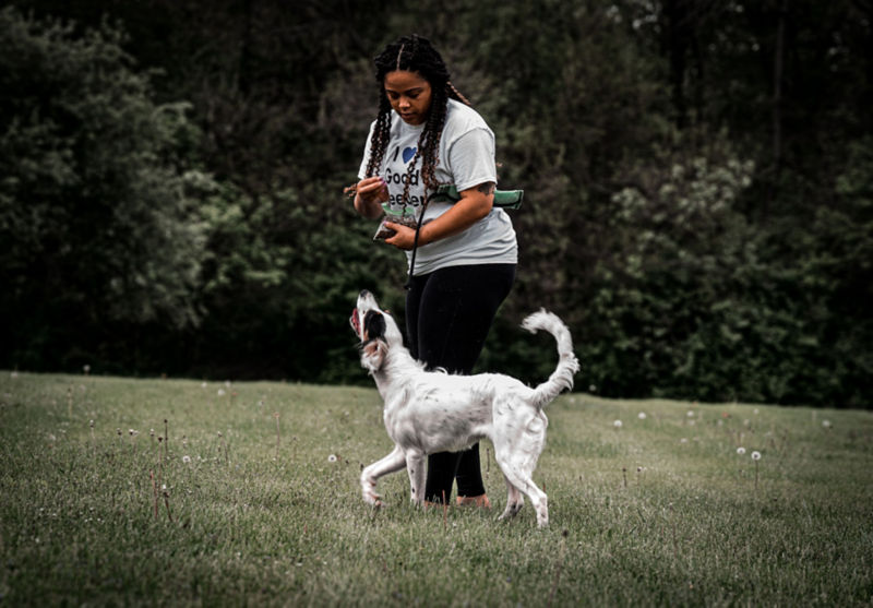 Train_Your_Dog_Like_A_Pro_4