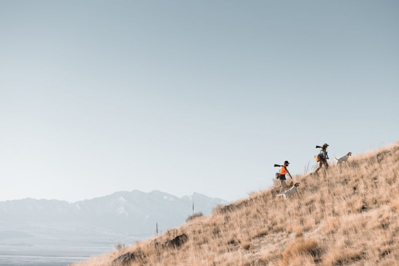 Two hunters climb a steep hill with their dogs.