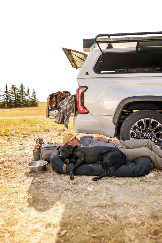 A man and his dog sleeping on a large dog bed by a truck.