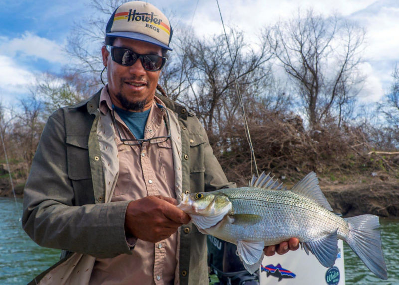 Man holding a white bass