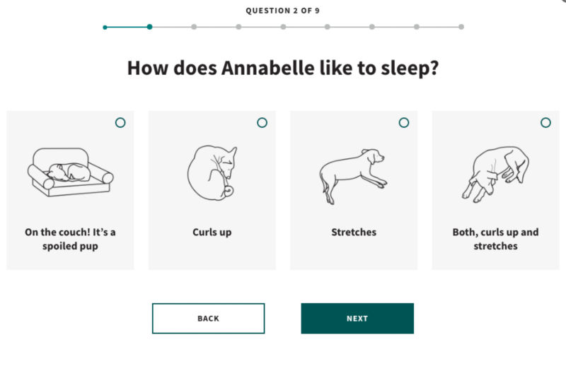 An image of the Dog Bed Selector app
