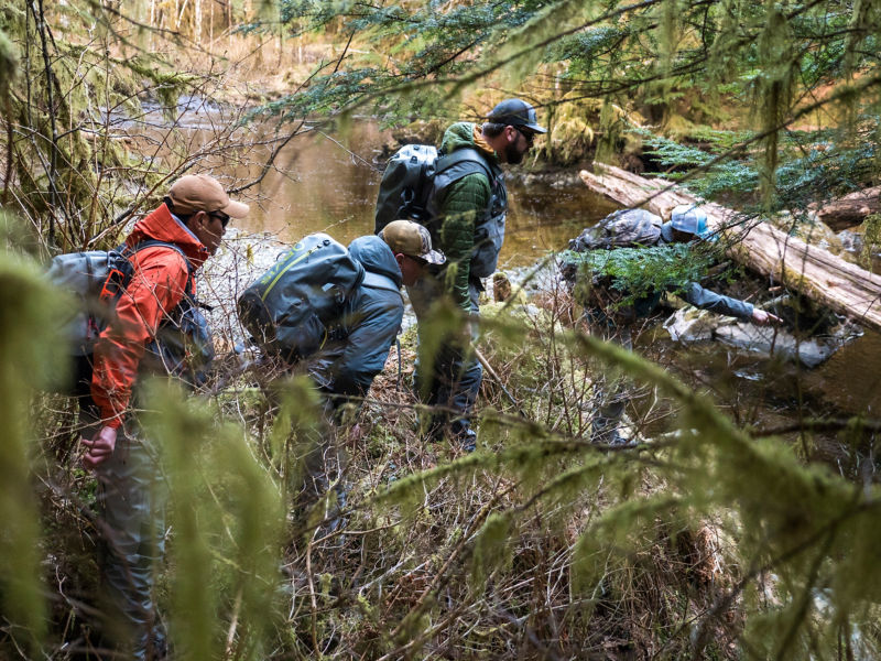 A group of hikers wearing backpacks pick their way through a forest next to a river.