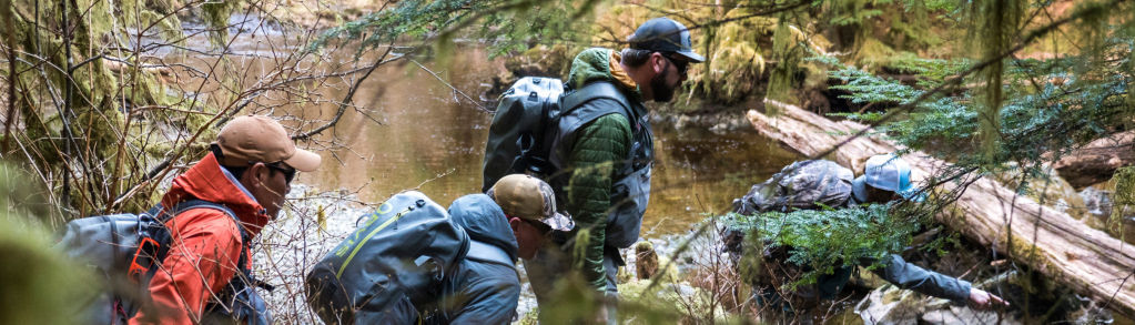 A group of hikers wearing backpacks pick their way through a forest next to a river.