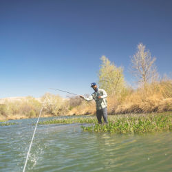 A man standing in a river fly-fishing