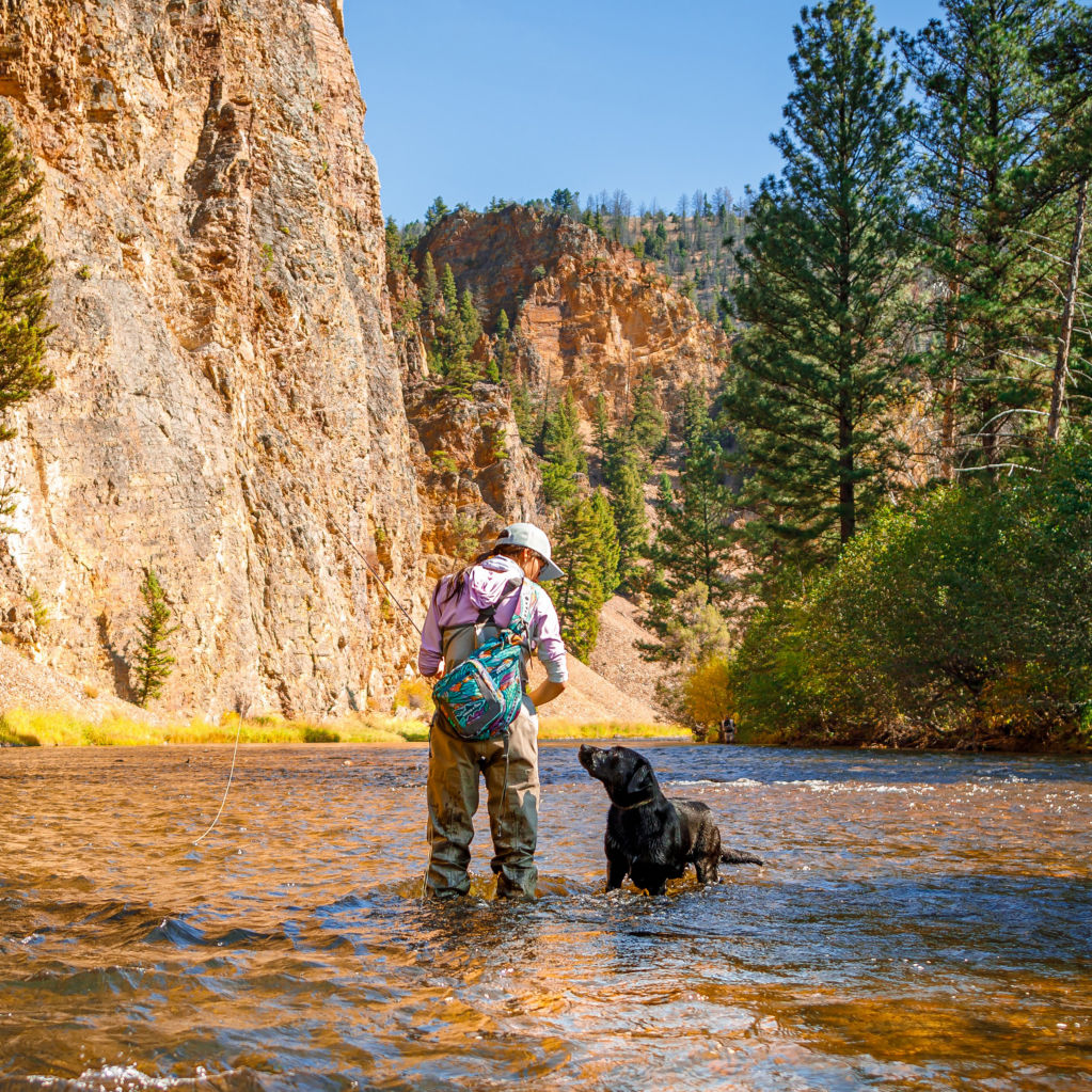 A woman and a dog standing in a mountain river fishing