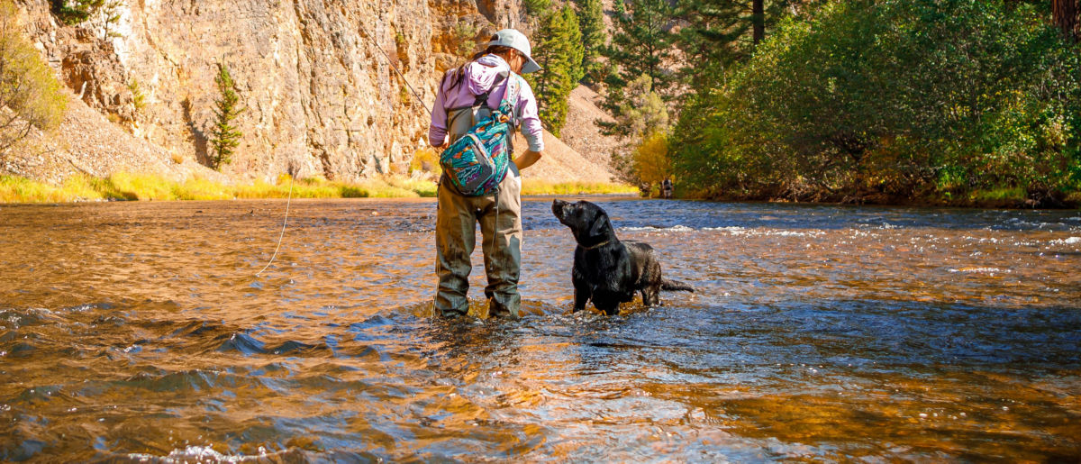 A woman wearing a Fishewear Orvis Sling Pack fly fishes in a river with her dog