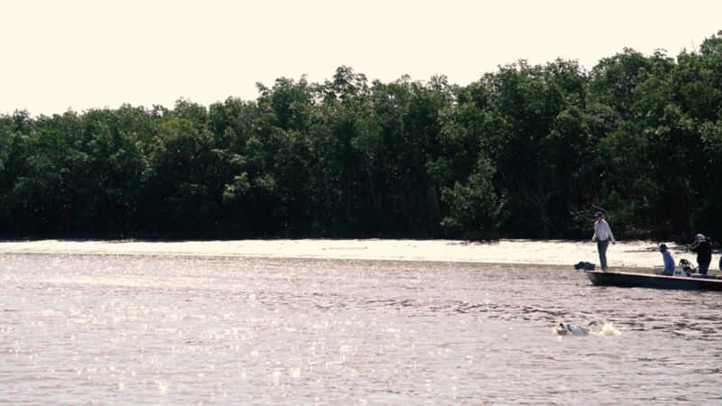 A large fish emerges from the river near a boat of anglers