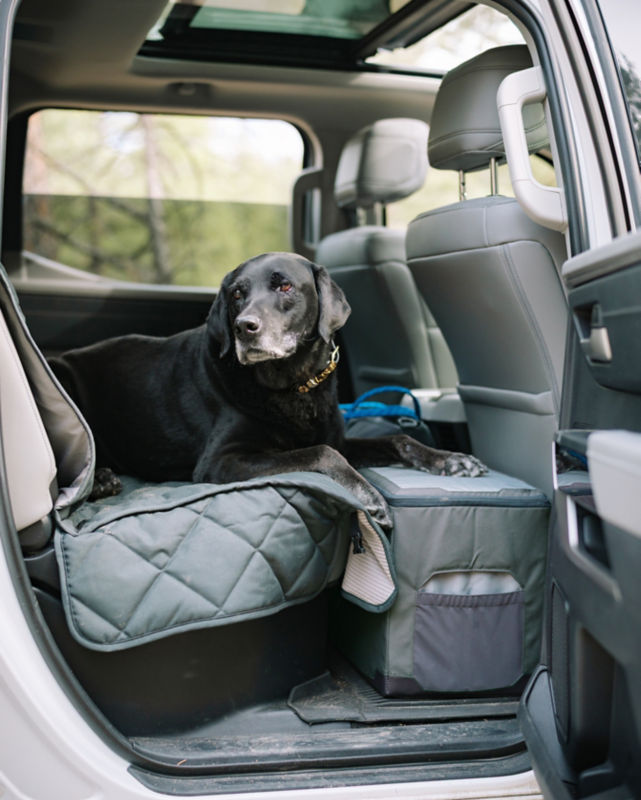 An older black Labrador lays on a Car Seat Protector in the back seat.