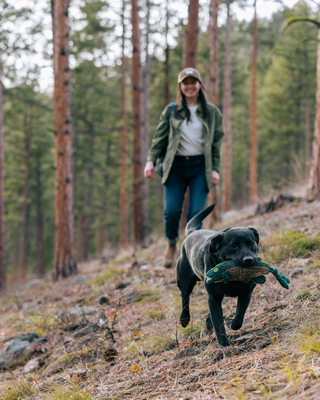 A black Labrador Retriever carrying a stuffed fish along a dirt path through the forest.