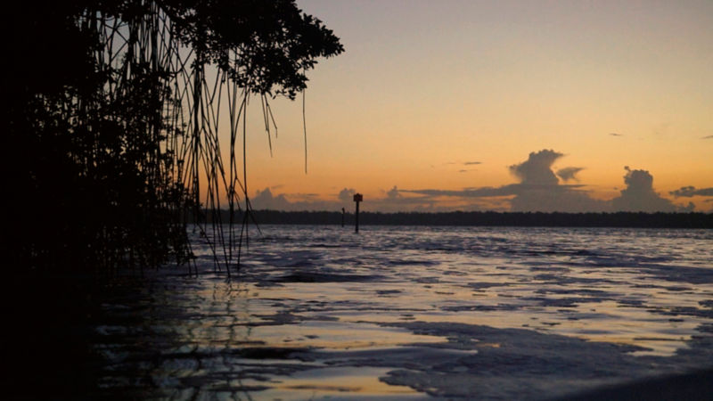 Sunrise from the bank at Florida Bay