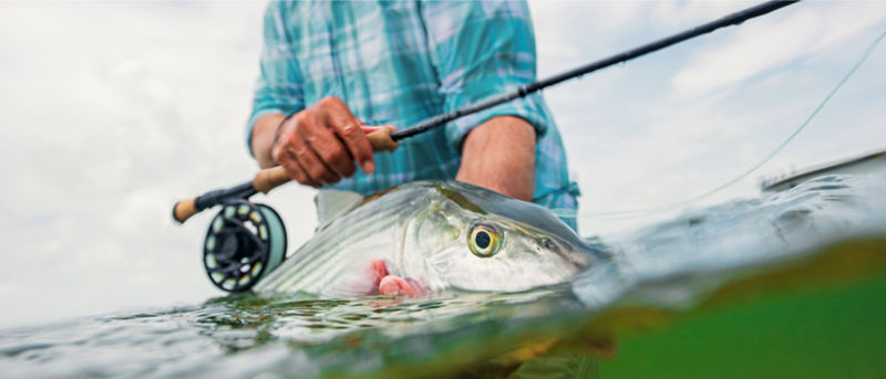 A man wearing a blue checked shirt standing in the water holding a fishing rod and fish.