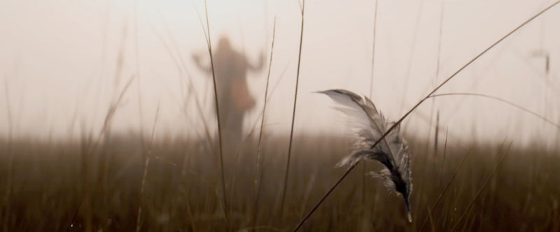A hunter walks across a field in the fog.