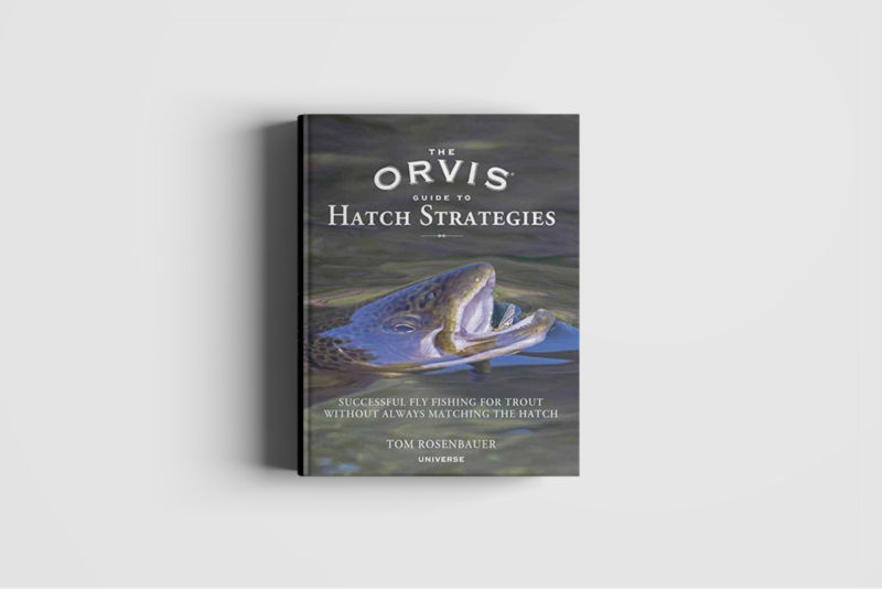 A book with a fish rising up out of the water on the cover