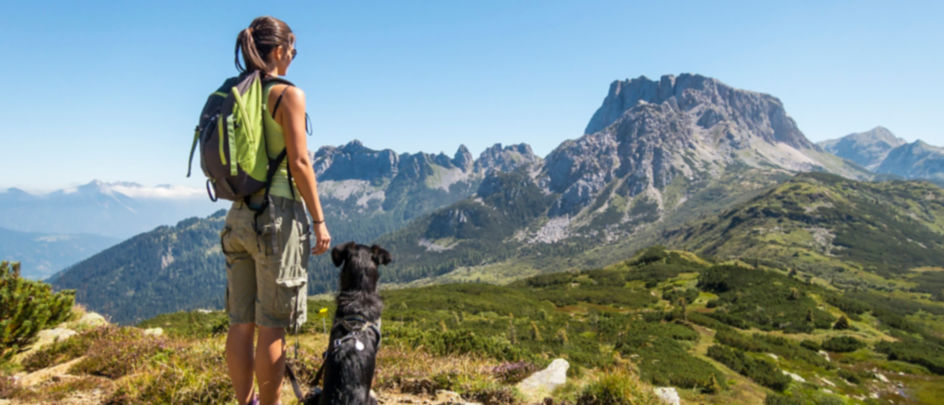 A woman and her dog gazing at the mountains in front of them