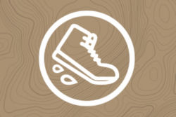 A little shoe icon inside a circle on a brown background