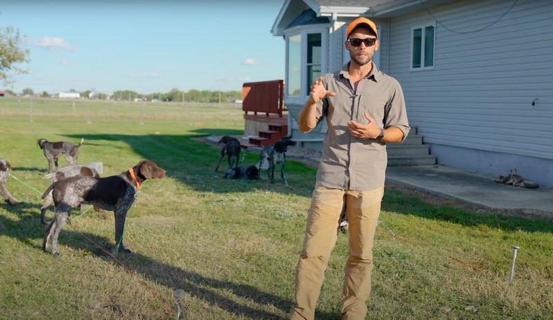 Ethan standing in a lawn with many dogs.
