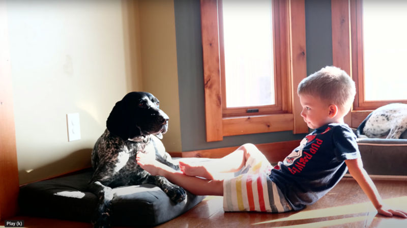 A child laying on the ground playing with a dog on his dog bed