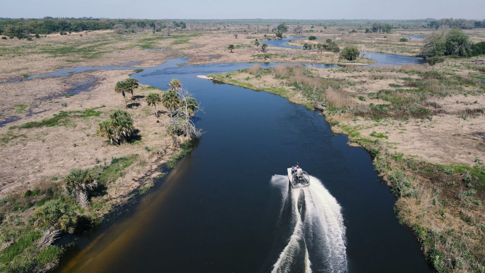 An airboat travels through the winding channels of the Kissimmee River