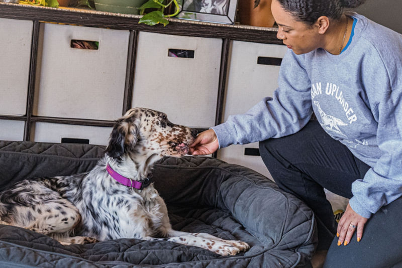 Melinda Benbow training her dog to lay down on her dog bed.