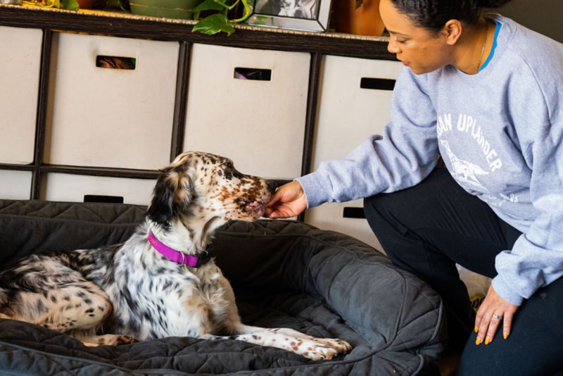 Melinda Benbow gives a treat to a puppy laying on a dog bed.