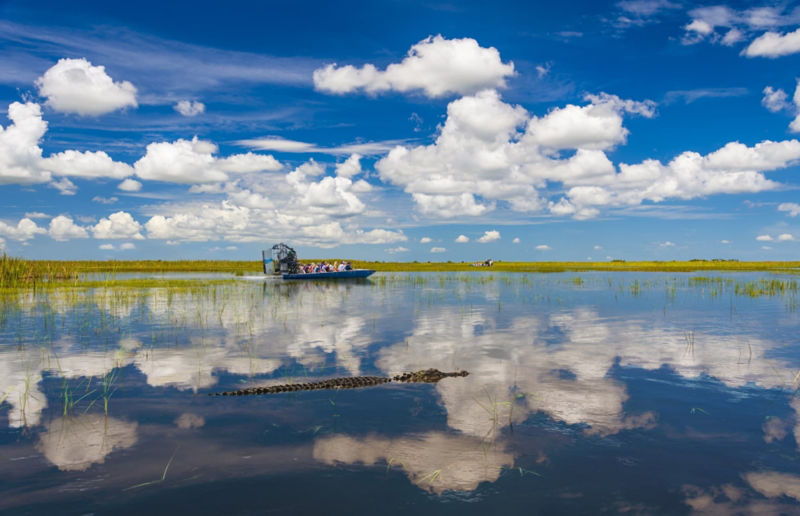 ᐅ Rail Swamp Branch fishing reports🎣• Little Egg Harbor, NJ