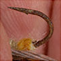 How to sharpen a hook - Step 2