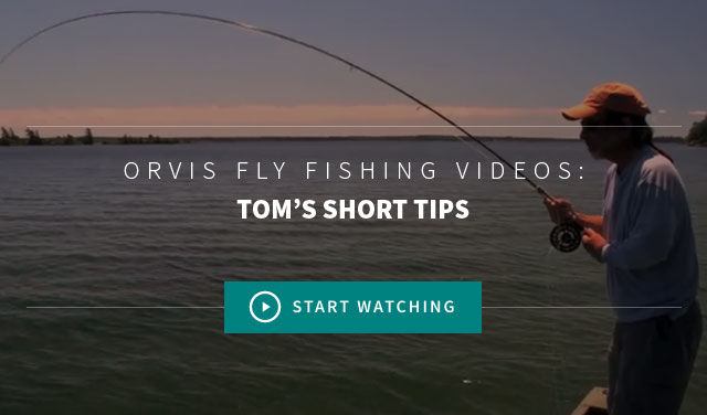 Fly Fishing Video Lessons - Tom's Basic Tips