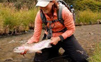 Fly Fishing Tips & Techniques - How To Fish For Trout Near Sweepers