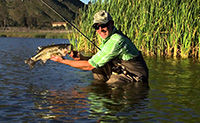 Conway Bowman Gives Tips On Fly Fishing For Bass - Quick Fly Fishing Tips From Orvis