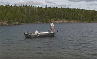 Back Casting For Proper Delivery - Tips & Tricks for Trout Fishing