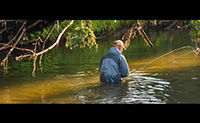 Methodical Trout Fishing - Fly Fishing Tactics & Tips From Orvis