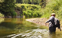 Landing Trout In Woody Water & Bush - Fly Fishing Tactics & Tips From Orvis