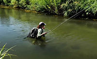 Casting Strategies For Catching Trout - Fly Fishing Tactics & Tips From Orvis