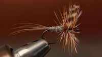 Dry Flies - Elk Hair Caddis