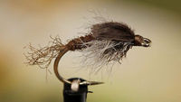 Video: How to Tie the Stonefly Creeper - Orvis News