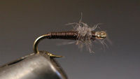 Nymphs - Fly Tying