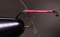 Video: How to Tie the Woolly Bugger Euro Jig - Orvis News