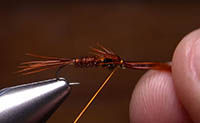 Video: How to Tie the Woolly Bugger Euro Jig - Orvis News