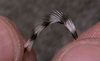 Understanding Different Kinds of Hackle