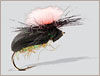 Parachute Beetle
