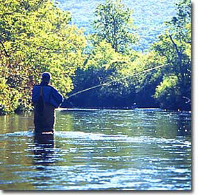 Trout Flies Fishing Journal, Made by C.F. Orvis Manchester VT: Fishing  Diary for Serious Fishermen or Weekend Warriors Hobbies Log Weather, Rod,  Bait,  Brother, Grandpa, Mom, Sister, Grandma, Aunt: Fishing, Saf's